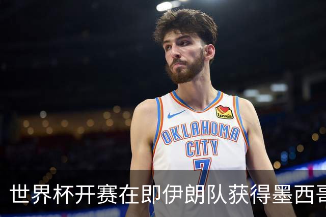 世界杯开赛在即伊朗队获得墨西哥签证 计划启程前往驻地