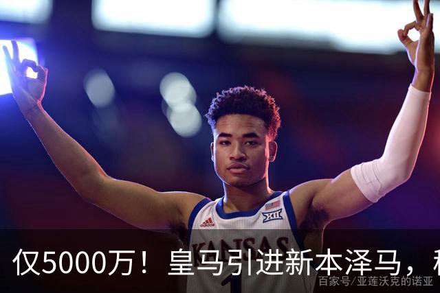 仅5000万！皇马引进新本泽马，穆帅4231战术升级，瞄准西甲欧冠双冠