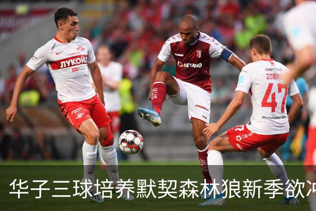华子三球培养默契森林狼新季欲冲佳绩