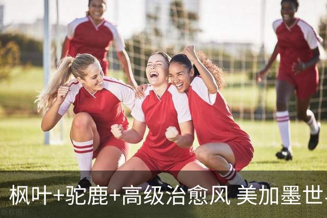 枫叶+驼鹿+高级治愈风 美加墨世界杯加拿大赛区开幕