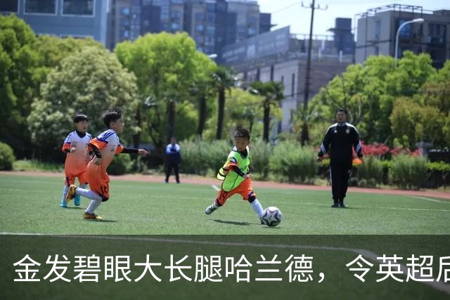 金发碧眼大长腿哈兰德，令英超后卫闻风丧胆，一己之力带飞挪威！